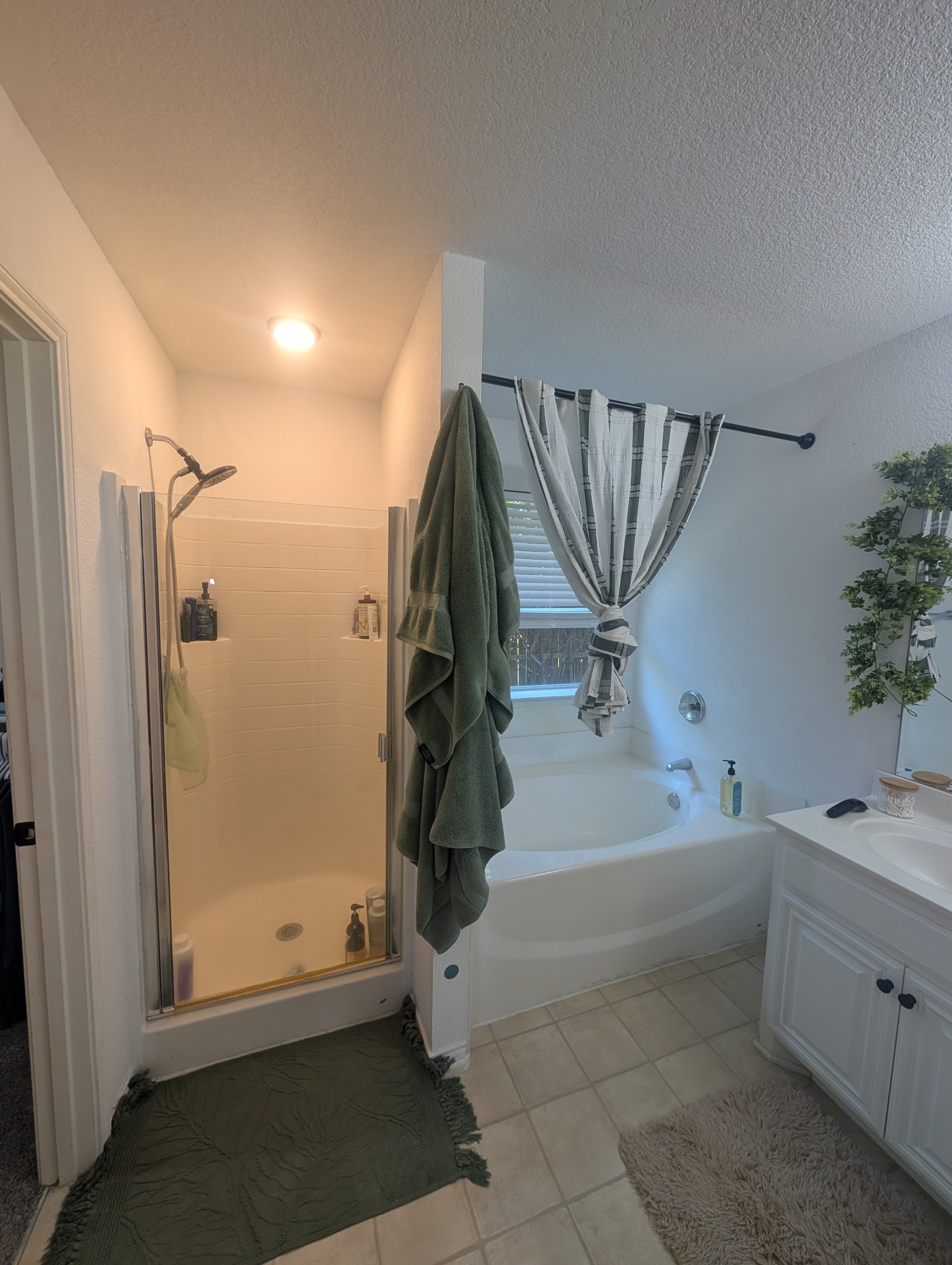 4BR Home in Haslet , TX photo 3
