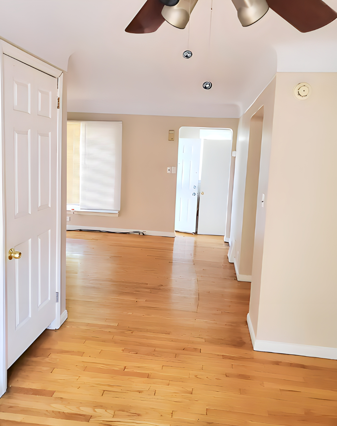 3BR Home in Detroit , MI photo 3